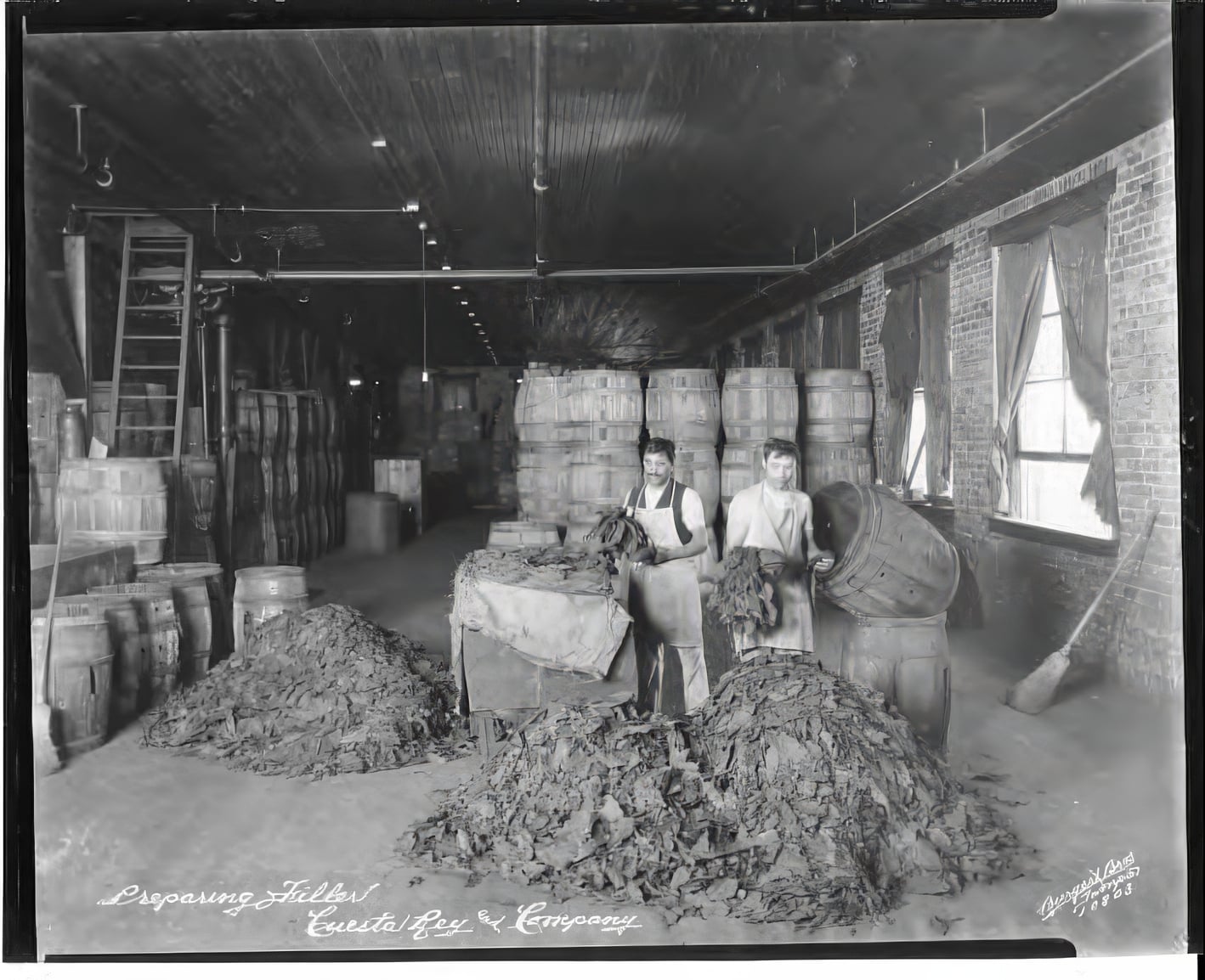 Cigar workers preparing tobacco for cigars at Cuesta Rey & Company: Tampa, FL. 1924.